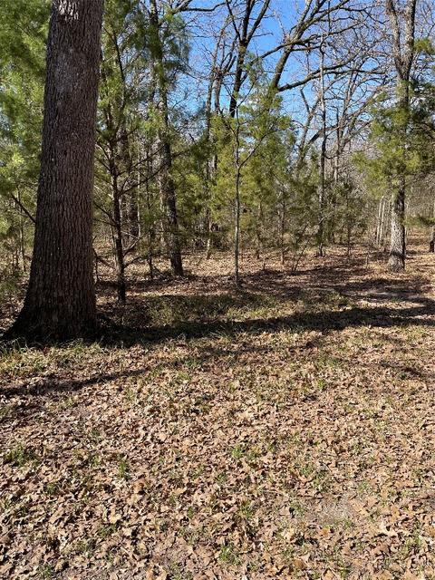 0 Double Bridge Rd, Mabank, TX 75156