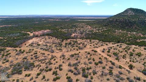 537 Nipple Peak Rd, Bronte, TX 76933