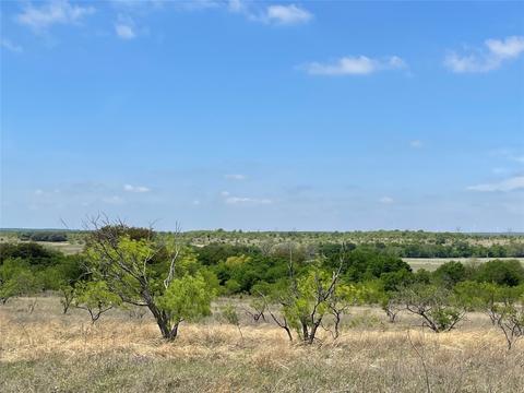 Tbd Greenwood Road, Comanche, TX 76442