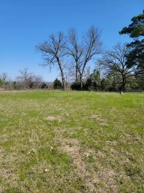Tbd An County Road 314, Frankston, TX 75763
