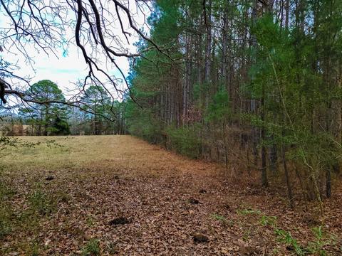 364 County Rd, Henderson, TX 75654