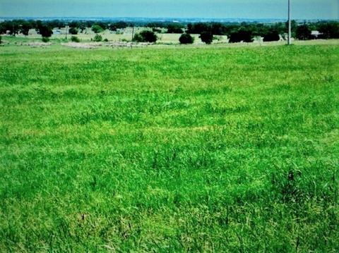 632 N County Road 1226 Rd, Godley, TX 76044
