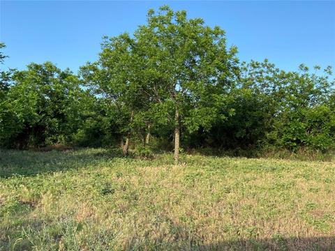 1242 County Rd 416, Comanche, TX 76442 photo 16