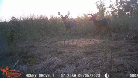 tbd County Rd 3445, Honey Grove, TX 75446