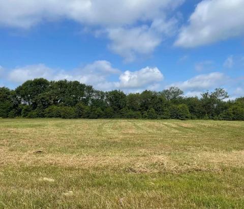 Tbd Lot 8 Vz County Road 3416, Wills Point, TX 75169