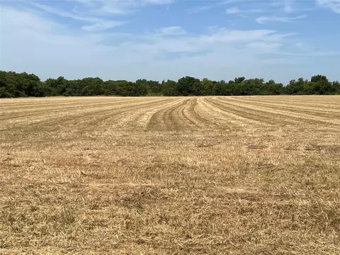 lot5 Rodgers Rd, Sadler, TX 76264