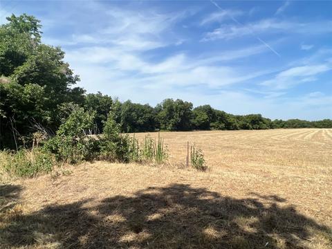 lot6 Rodgers Rd, Sadler, TX 76264