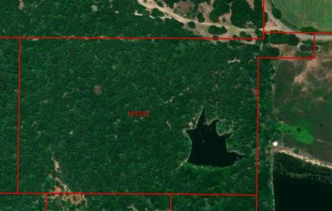 Tbd Vz County Road 1604, Grand Saline, TX 75140