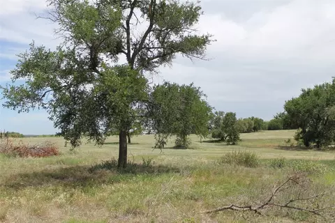 403 W Lucy Bertram St, Gustine, TX 76455 photo 29