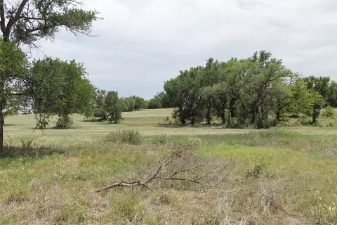 403 W Lucy Bertram St, Gustine, TX 76455 photo 27