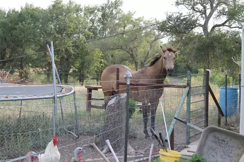 403 W Lucy Bertram St, Gustine, TX 76455 photo 31