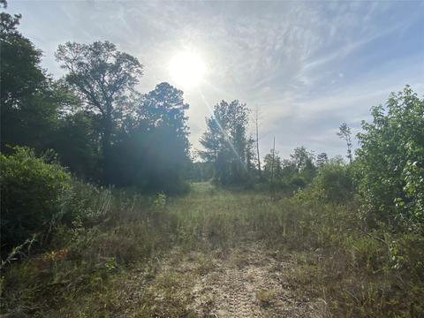 Tbd White Oak Rd, Big Sandy, TX 75755
