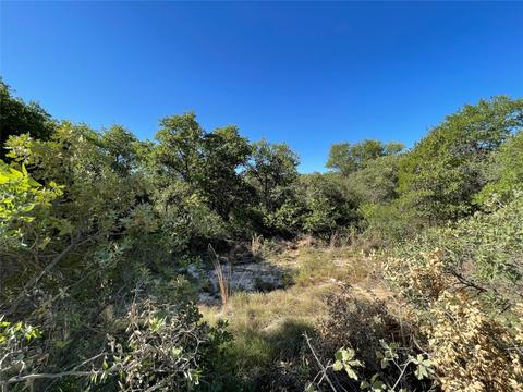 Tbd County Road 335, Hawley, TX 79525