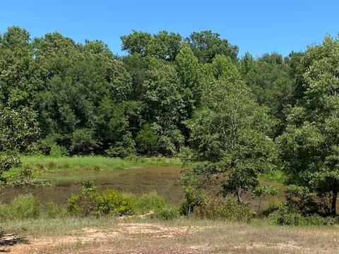 Tbd Loop 7, Athens, TX 75751 photo 11