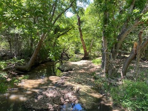 Tbd Loop 7, Athens, TX 75751 photo 17