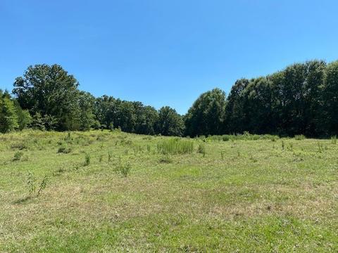 Tbd Loop 7, Athens, TX 75751 photo 12