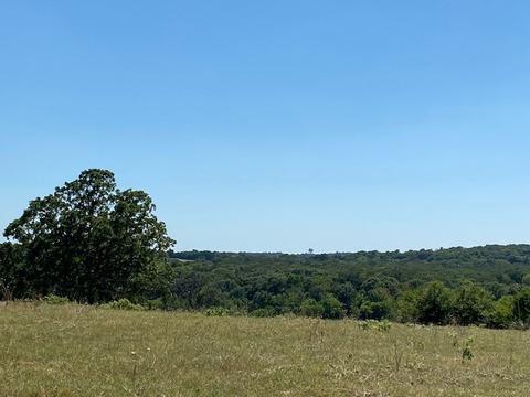 Tbd Loop 7, Athens, TX 75751 photo 19