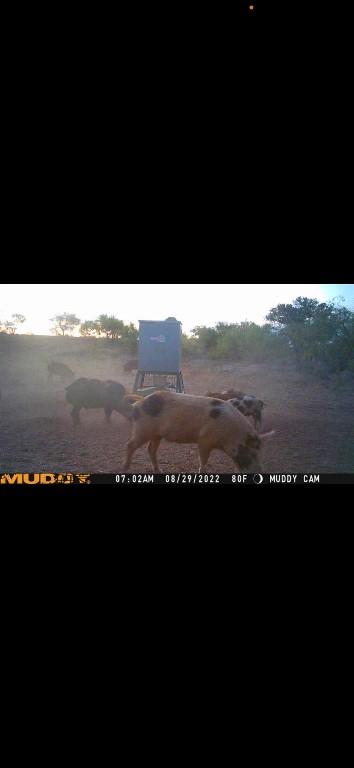 tbd U S Highway 277, Bronte, TX 76933