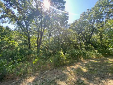 Tbd 60 Acres Rs County Road 4452, Point, TX 75472