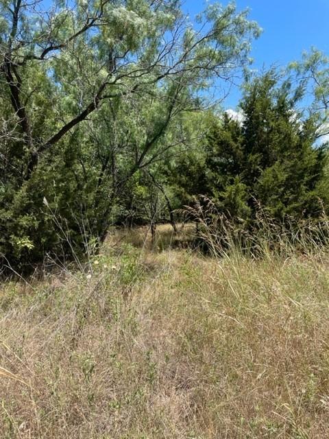 Tbd Big Cedar Drive, Corsicana, TX 75109