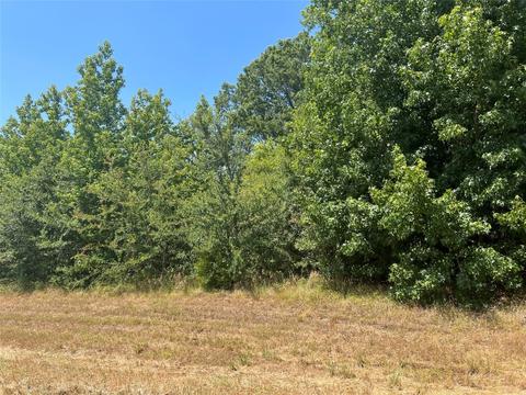000 Fm 3042, Pittsburg, TX 75686