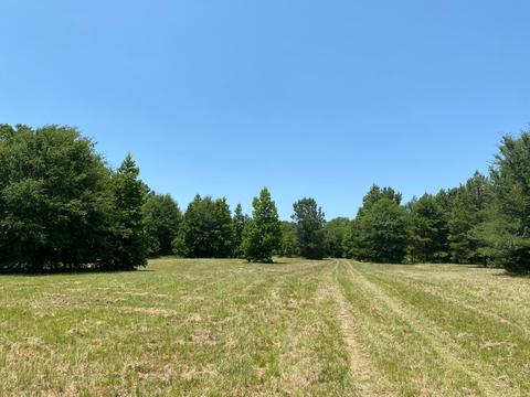 1586 County Rd 4224, Troup, TX 75789