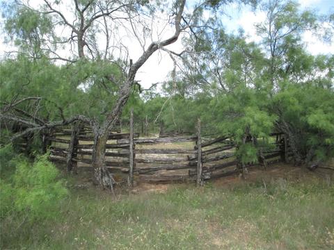 12 4 Ac Two Bush, Perrin, TX 76486