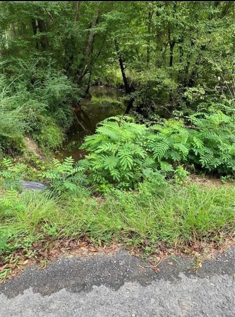 00 Blacksmith Rd, Ringgold, LA 71068 photo 6