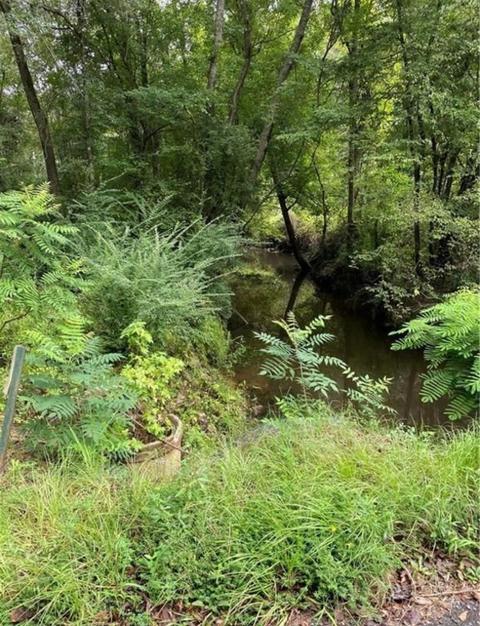 00 Blacksmith Rd, Ringgold, LA 71068 photo 5