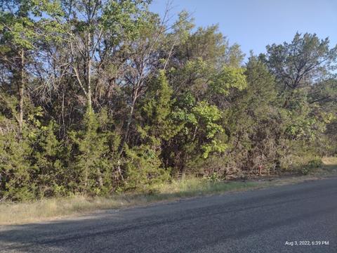1011 Comanche Cove Dr, Granbury, TX 76048
