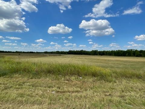 4632 Fm 2874, Commerce, TX 75428 photo 9