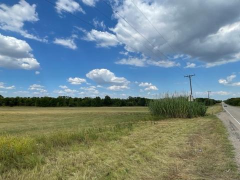 4632 Fm 2874, Commerce, TX 75428 photo 11