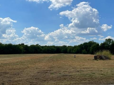 4632 Fm 2874, Commerce, TX 75428 photo 3