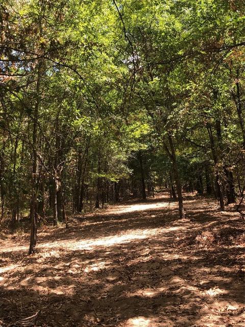 10402 Fm 859, Edgewood, TX 75117