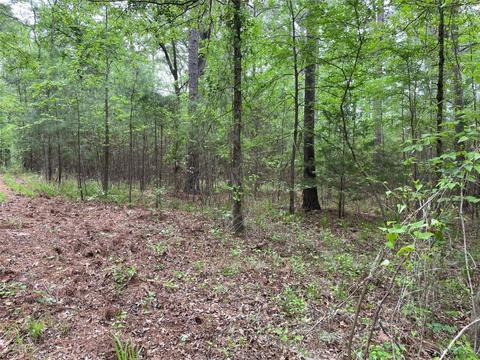 Tbd Red Cloud, Lindale, TX 75771