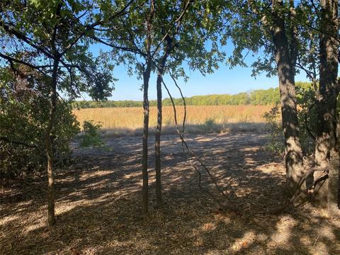 Lot 4 County Rd 4045, Ector, TX 75439 photo 6