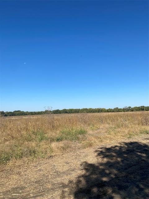 Lot 4 County Rd 4045, Ector, TX 75439 photo 8
