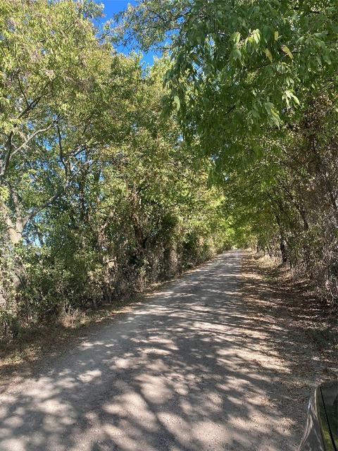 Lot 4 County Rd 4045, Ector, TX 75439 photo 3