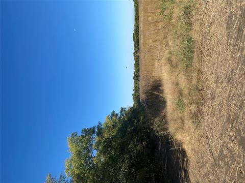 Lot 4 County Rd 4045, Ector, TX 75439 photo 10