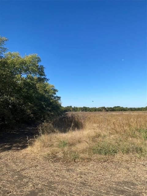 Lot 4 County Rd 4045, Ector, TX 75439 photo 9