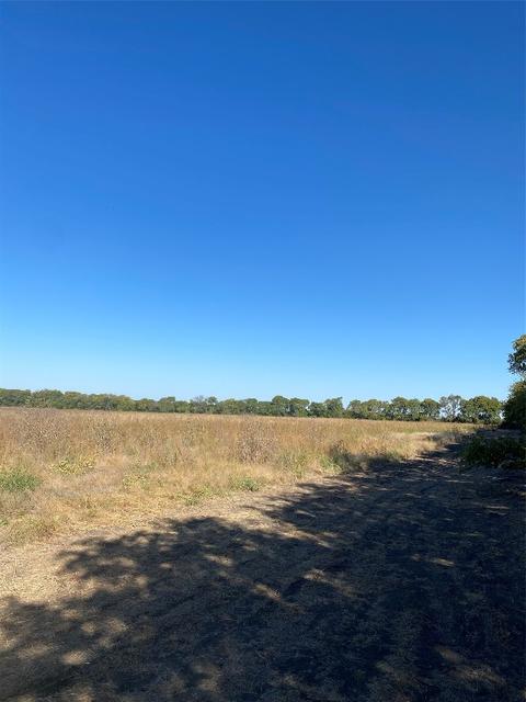 Lot 4 County Rd 4045, Ector, TX 75439 photo 7