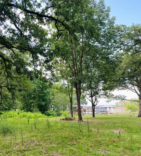 Tbd Brierwood, Frankston, TX 75763