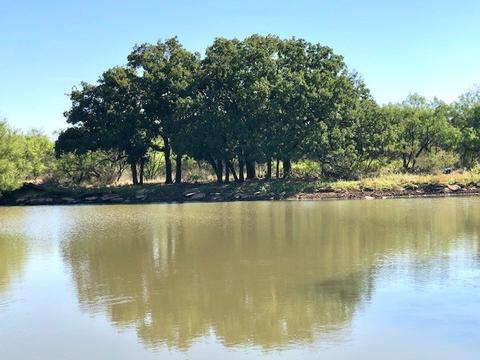 4990 Fm 576, Moran, TX 76464