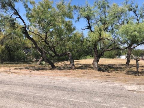 4 Griffin Cir, Albany, TX 76430