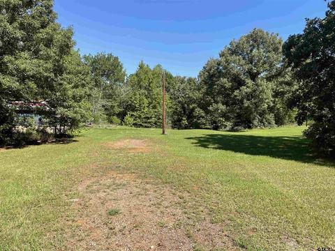201 Vz County Road 4917, Ben Wheeler, TX 75754