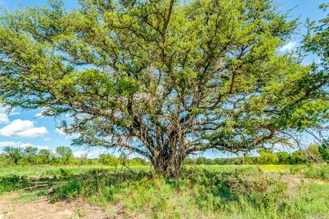 Tbd Hott Lane, Weatherford, TX 76088