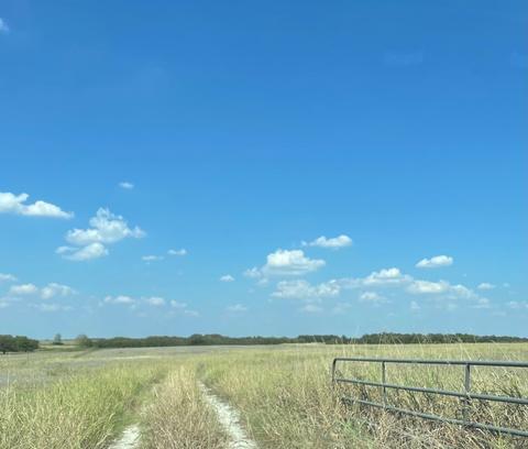 Tbd Gorrell Road, Pilot Point, TX 76258 photo 2