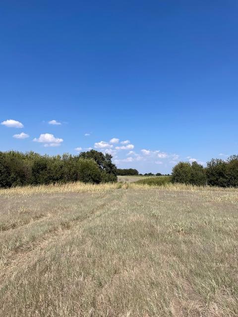 Tbd Gorrell Road, Pilot Point, TX 76258 photo 3