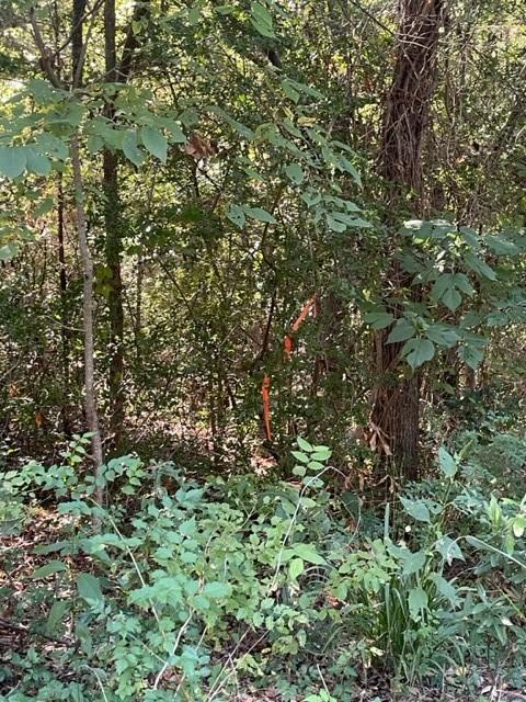 10659 Cartwright Dr, Eustace, TX 75124