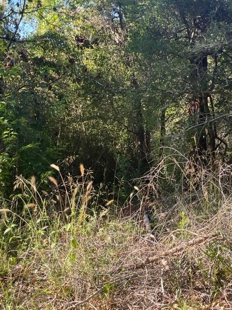 10659 Cartwright Dr, Eustace, TX 75124 photo 5